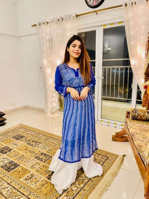Lucknowi Chikankari Kalidaar Blue
