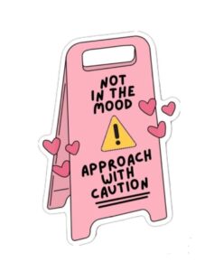 Not In The Mood